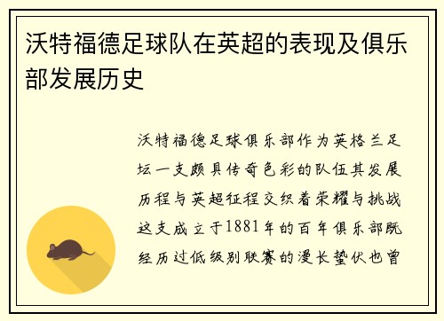沃特福德足球队在英超的表现及俱乐部发展历史